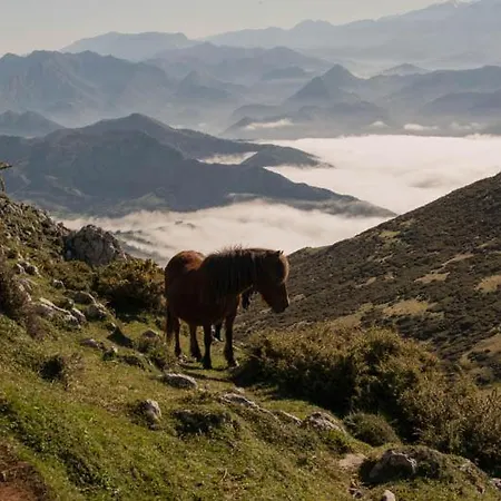 Duplex Con Vistas Al Picu Pienzu, *