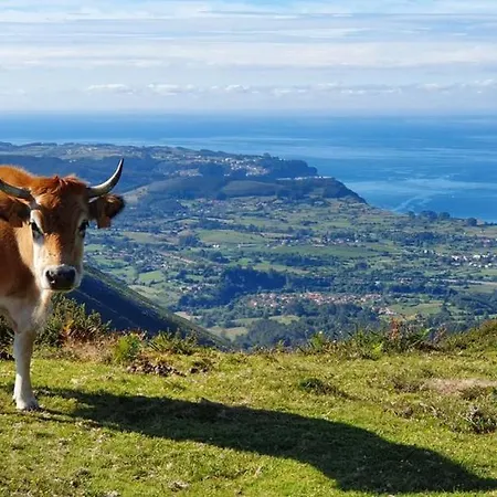 Duplex Con Vistas Al Picu Pienzu,